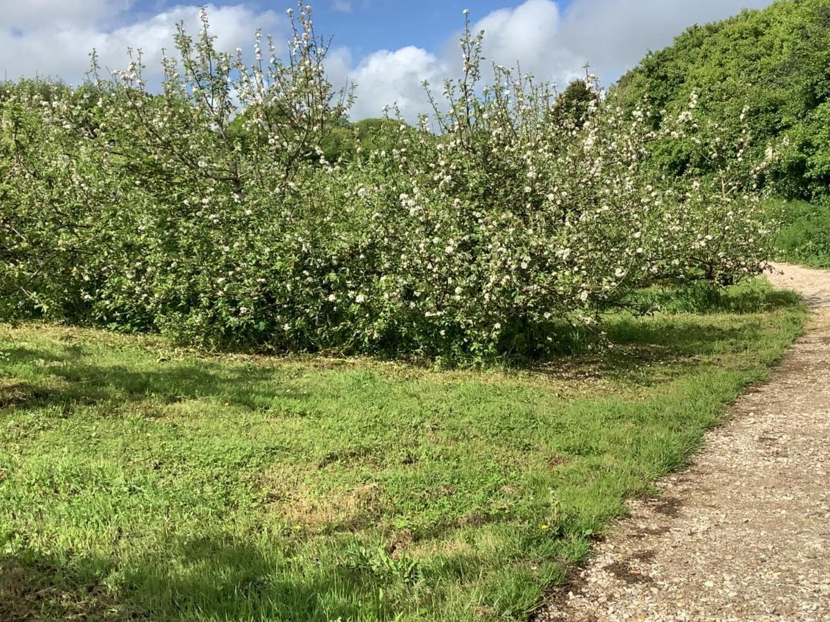 Polgoon Vineyard Annex Penzance Lägenhet Exteriör bild