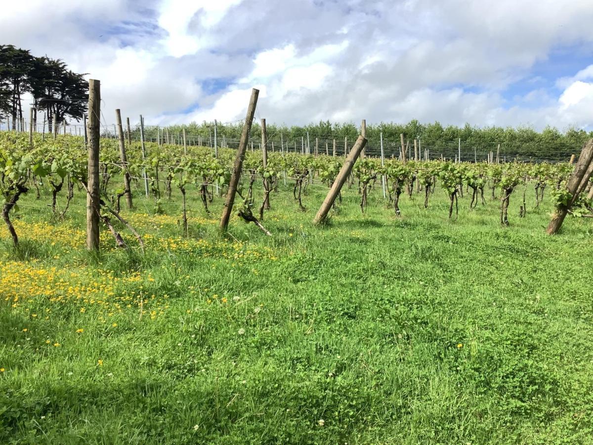 Polgoon Vineyard Annex Penzance Lägenhet Exteriör bild